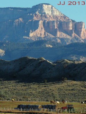 AIMG_3975.jpg