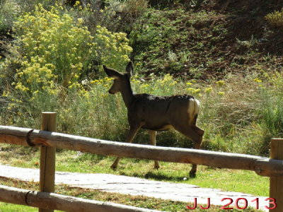AIMG_4071.jpg