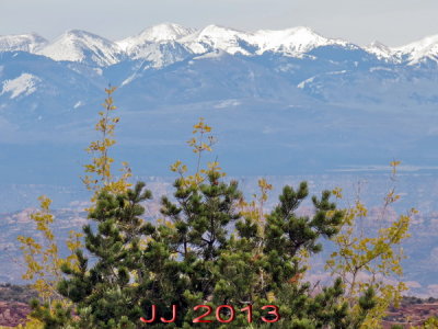 AIMG_4257.jpg