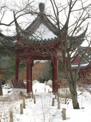 AIMG_6647.jpg