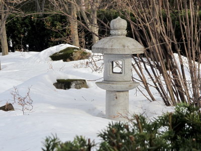 AIMG_6652.jpg