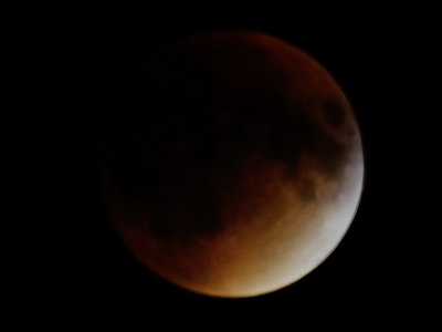 121627ykpnzonkkwn296pw.jpg