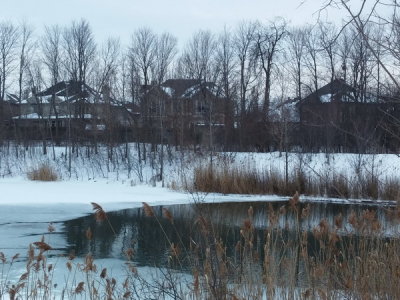 A20160125_154641.jpg