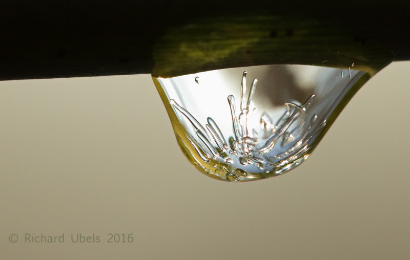 Ice drop