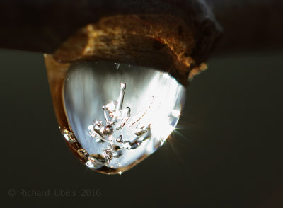 Ice drop