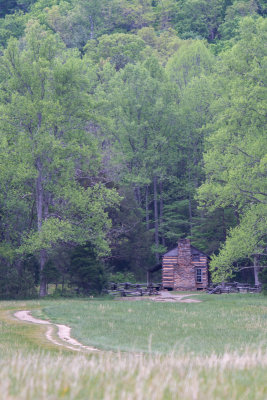 Smokies_20120416_4436.jpg