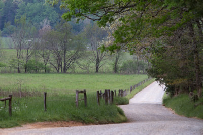 Smokies_20120416_4440.jpg