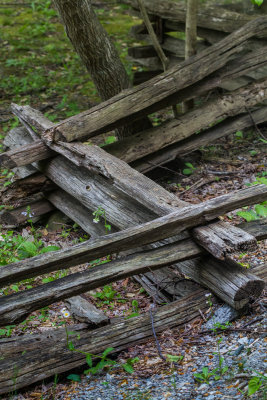 Smokies_20120417_4570.jpg