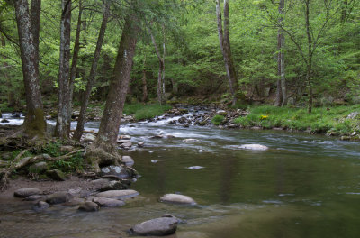 Smokies_20120417_4594.jpg