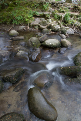 Smokies_20120417_4598.jpg