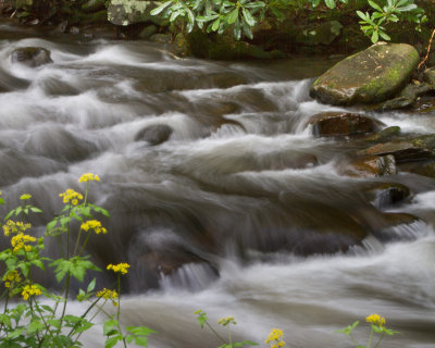 Smokies_20120418_4692.jpg