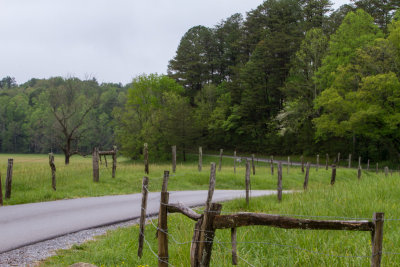 Smokies_20120418_4711.jpg