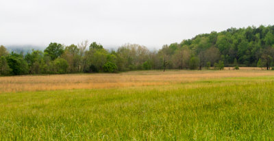 Smokies_20120418_4713.jpg