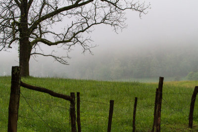 Smokies_20120418_4731.jpg
