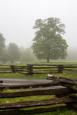 Smokies_20120418_4735.jpg