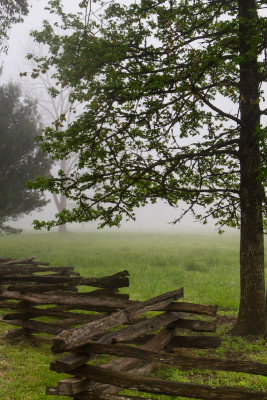 Smokies_20120418_4738.jpg