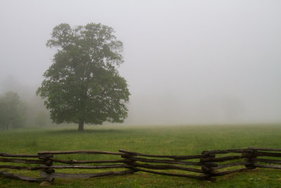 Smokies_20120418_4744.jpg