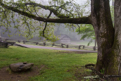 Smokies_20120418_4747.jpg