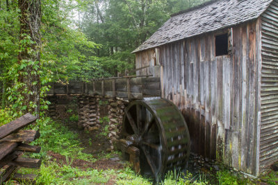 Smokies_20120418_4771.jpg