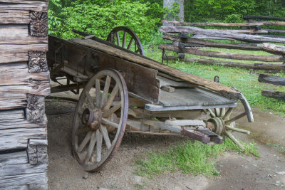 Smokies_20120418_4779.jpg