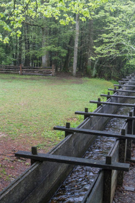 Smokies_20120418_4789.jpg