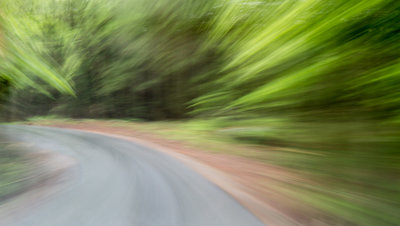 Smokies_20120418_4846.jpg