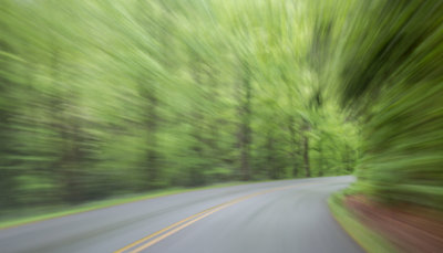 Smokies_20120418_4919.jpg
