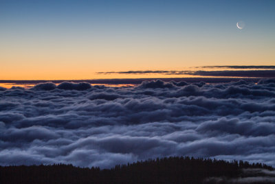Smokies_20120419_4954.jpg