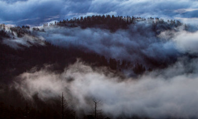 Smokies_20120419_4969.jpg