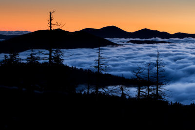 Smokies_20120419_4973.jpg