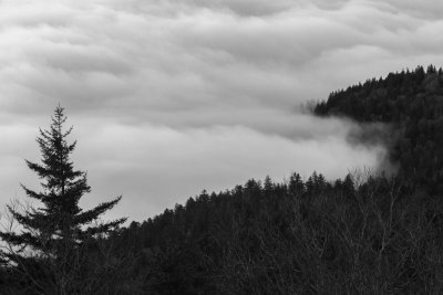 Smokies_20120419_4992.jpg