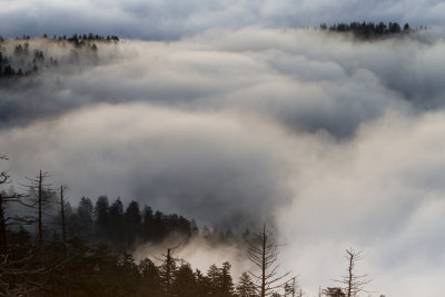 Smokies_20120419_4997.jpg