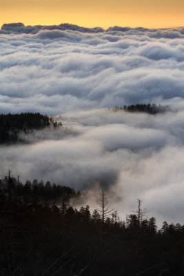 Smokies_20120419_4999.jpg
