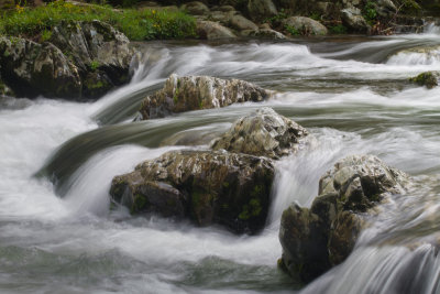 Smokies_20120419_5136.jpg