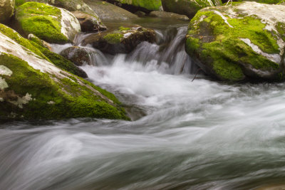 Smokies_20120419_5267.jpg