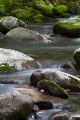 Smokies_20120419_5279.jpg
