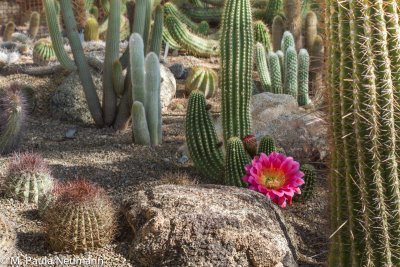arizona-25.jpg