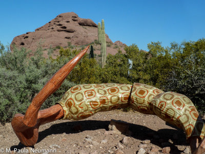 arizona-32.jpg