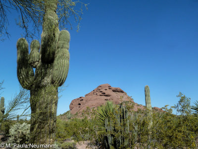 arizona-33.jpg