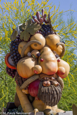 arizona-36.jpg