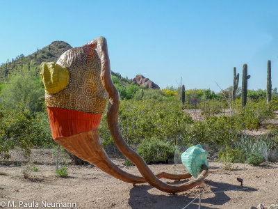 arizona-41.jpg