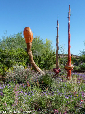 arizona-42.jpg