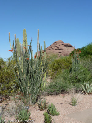 arizona-43.jpg