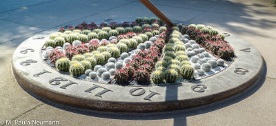 arizona-51.jpg