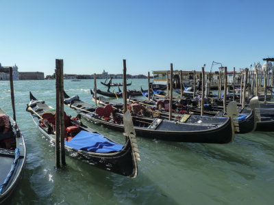Venice-4.jpg