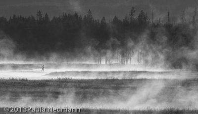 Yellowstone National Park