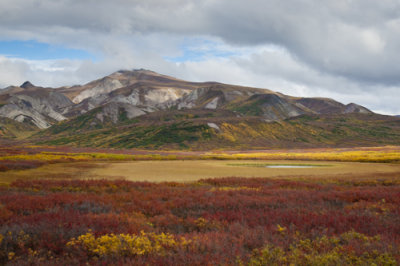 Denali National Park