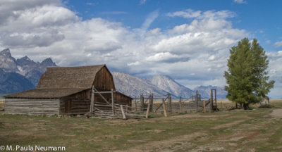 _MG_1576.jpg