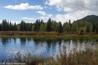 _MG_8463.jpg