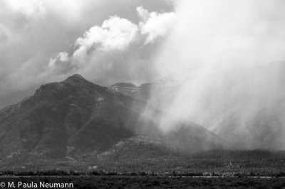_MG_8655.jpg